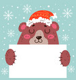 christmas bear holding blank banner concept vector image vector image