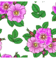 seamless floral pattern vector image