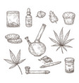 Sketch cannabis medical marijuana leaves weed Vector Image