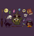 halloween elements magic ball witch with book vector image vector image