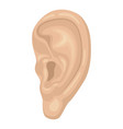 human ear icon organ hearing and communication vector image vector image