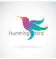 hummingbird design on a white background vector image vector image