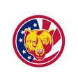 american brown bear usa flag icon vector image