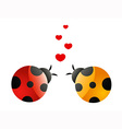 insects vector image