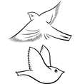 bird symbols vector image