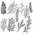 set vintage hand drawn floral design vector image vector image