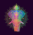 boho elephant pattern floral vector image