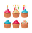birthday cupcakes colorful pink blue and vanilla vector image vector image