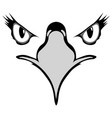 eyes of eagle vector image