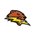 north american beaver lightning bolt mascot vector image vector image