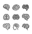 brain icon set outline style vector image