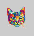 colorful cat head vector image