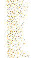 gold star confetti celebration isolated on white vector image