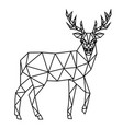 polygonal deer vector image