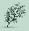 trees silhouettes vector image