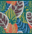 begonia leaves pattern abstract color vector image vector image