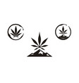 hemp cannabis weed leaf wine stain mountain logo vector image vector image