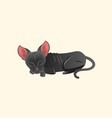 sphynx cat vector image