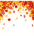 autumn falling leaves nature background with red vector image