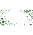 card or background with branches and green leaves vector image
