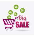 shopping special offer and disocunts vector image
