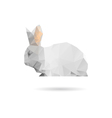 rabbit isolated on a white background vector image
