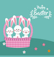 happy easter bunnies in basket decorative vector image vector image