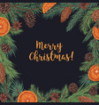 merry christmas card with fir branch border vector image
