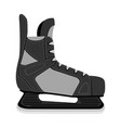 sports equipment and items for sport flat icon vector image vector image