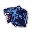angry bear roaring logo mascot template vector image