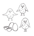easter eggs and chickens vector image