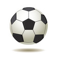 football soccer ball vector image