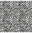zebra stripes seamless pattern tiger skin vector image