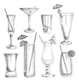 doodle cocktails vector image