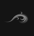 wind swirling smoke or vapor vector image vector image