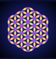 mandala sacred geometry vector image