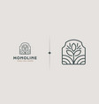 leaf flower tree monoline universal creative vector image vector image
