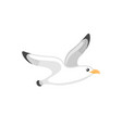 seabird or gull stylized nautical emblem vector image