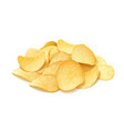 potato chips fast-food vector image