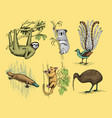big set of australian and new zealand symbols vector image vector image