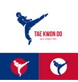 taekwondo logo template martial arts badge vector image vector image