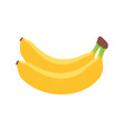 ripe banana fruit colored banana fruit vector image vector image