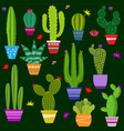 set of cute cactus and succulents in pots vector image vector image