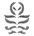 set of hand drawn floral branches text vector image vector image