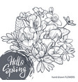 hello spring text hand lettering with hand drawn vector image