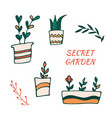set home gardening hand drawn plants in pots vector image