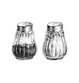 hand drawn salt and pepper shakers vector image