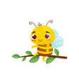 humanized bee sits on a tree branch cartoon style vector image