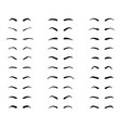 types and forms eyebrows vector image