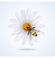 bee with flower vector image